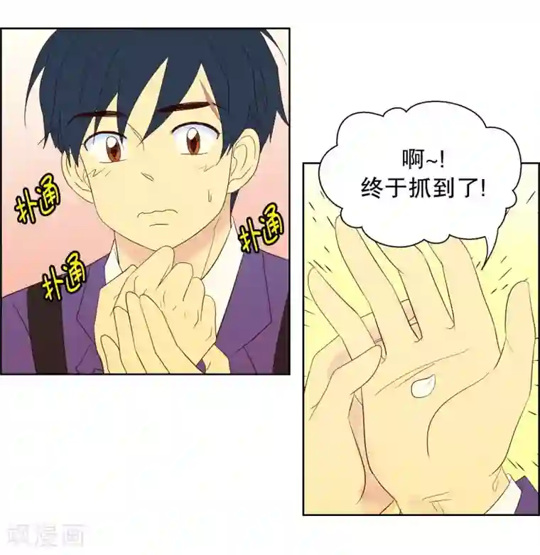 走进少女的心第77话 向花瓣许愿2