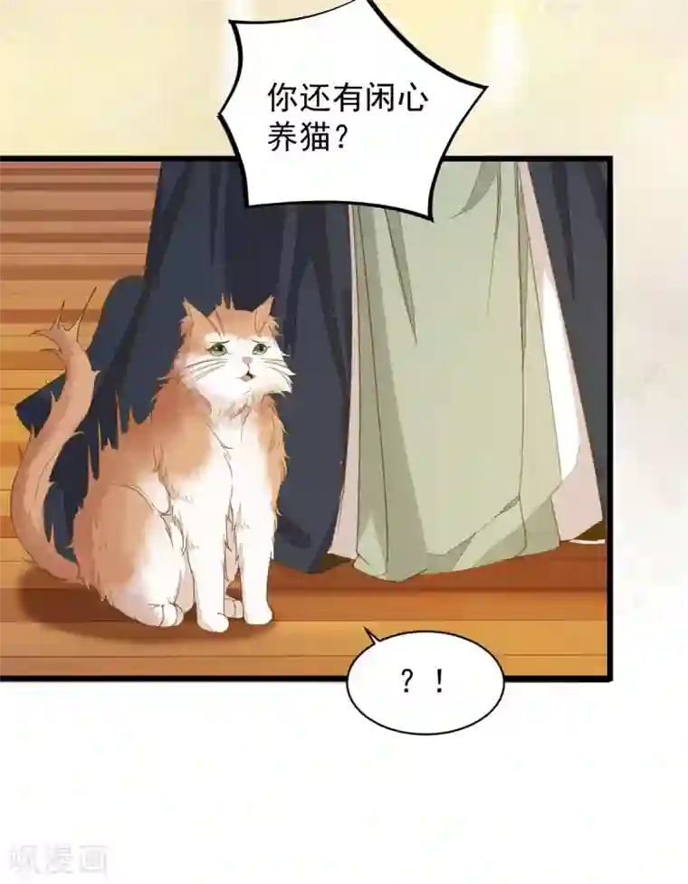 杀手王妃不好惹第47话 前世记忆重叠