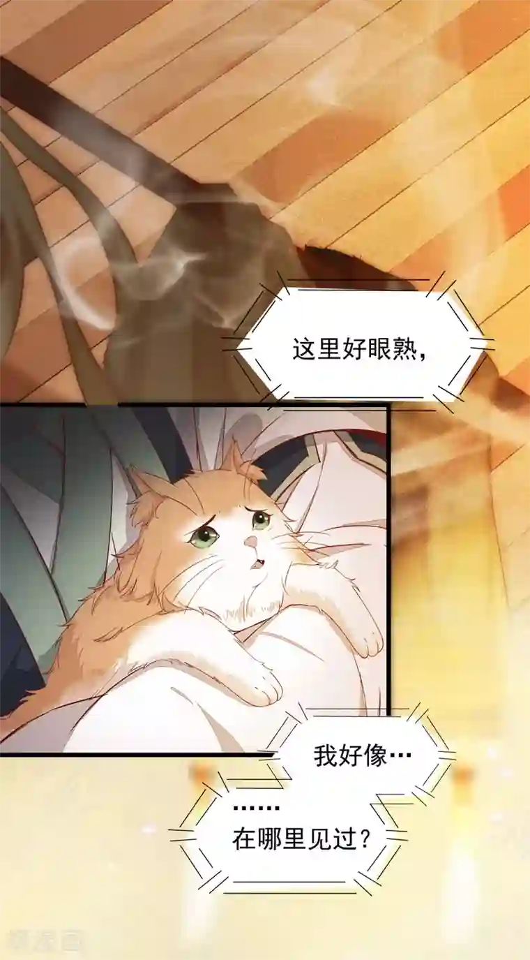 杀手王妃不好惹第47话 前世记忆重叠
