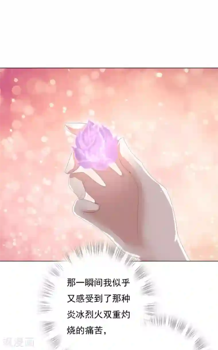 冷邪冥王的心尖宠第27话 六界怕是要不太平了