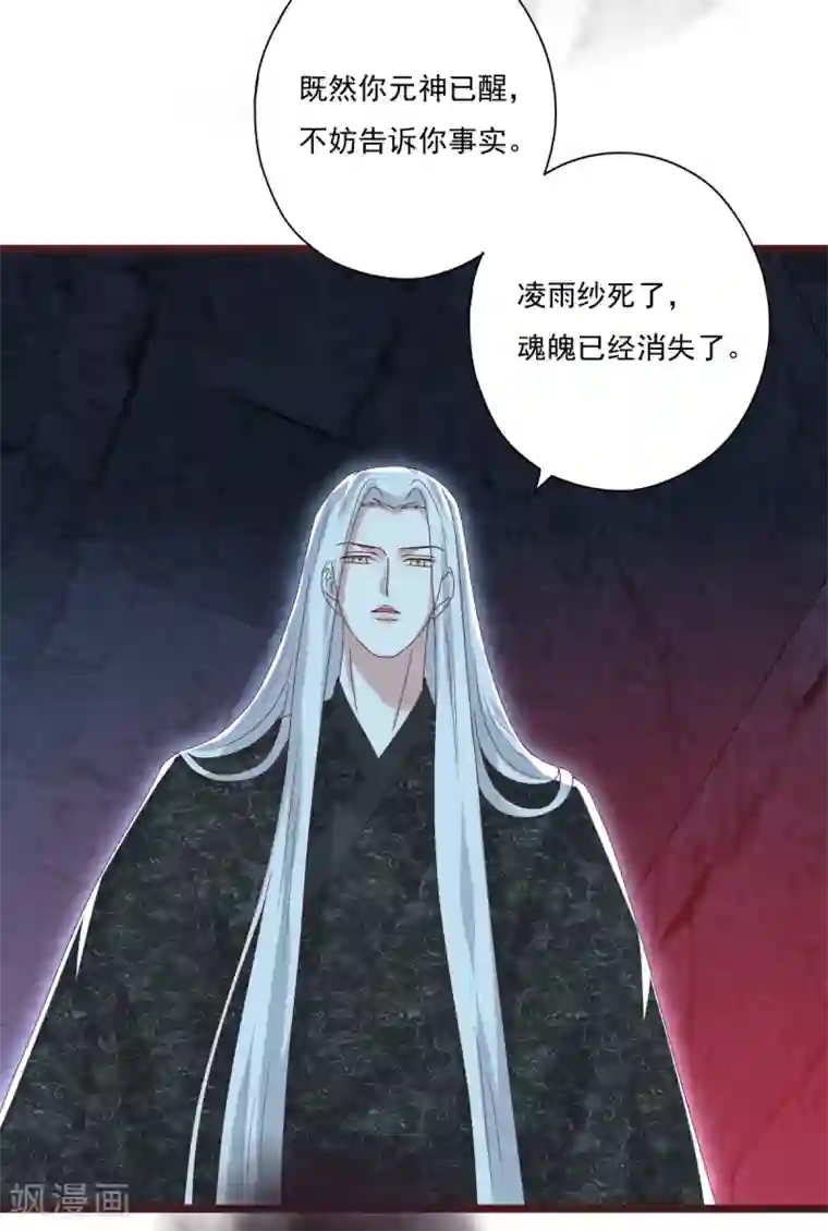 冷邪冥王的心尖宠第28话 九幽镇魂术