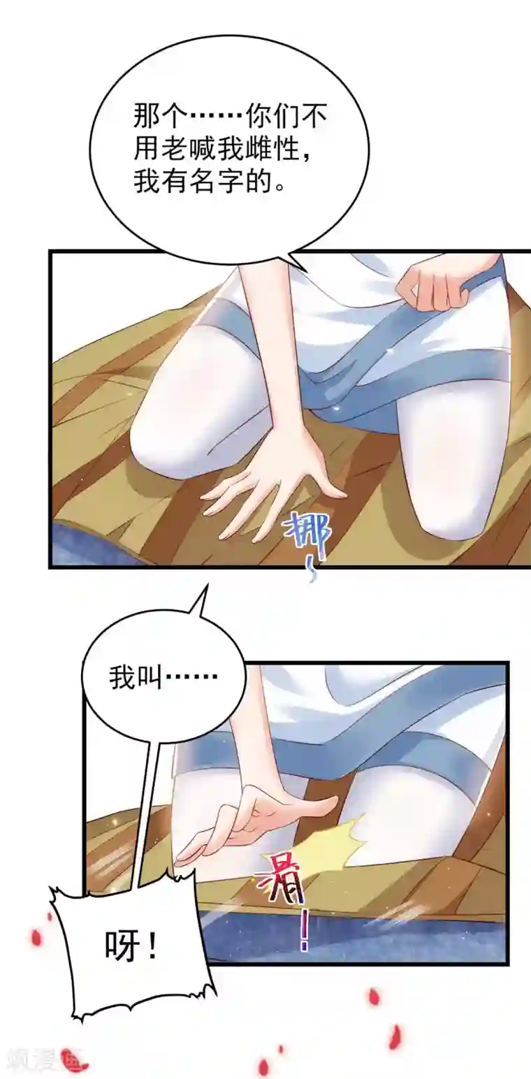 兽世狂妃：不当异界女海王第4话 善良的雌性