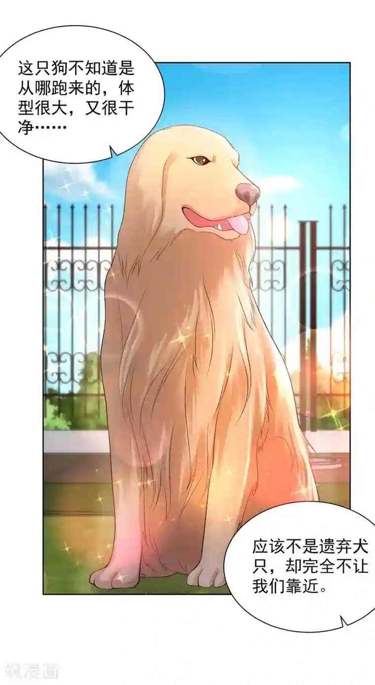 想成为废柴的公爵小姐第45话 金毛寻回犬