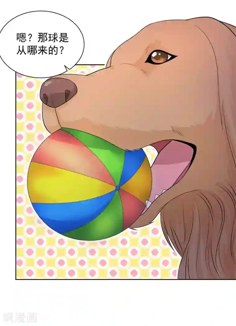 想成为废柴的公爵小姐第45话 金毛寻回犬