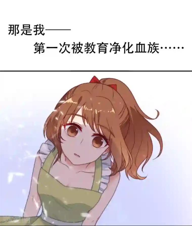 刀与蔷薇木第1话