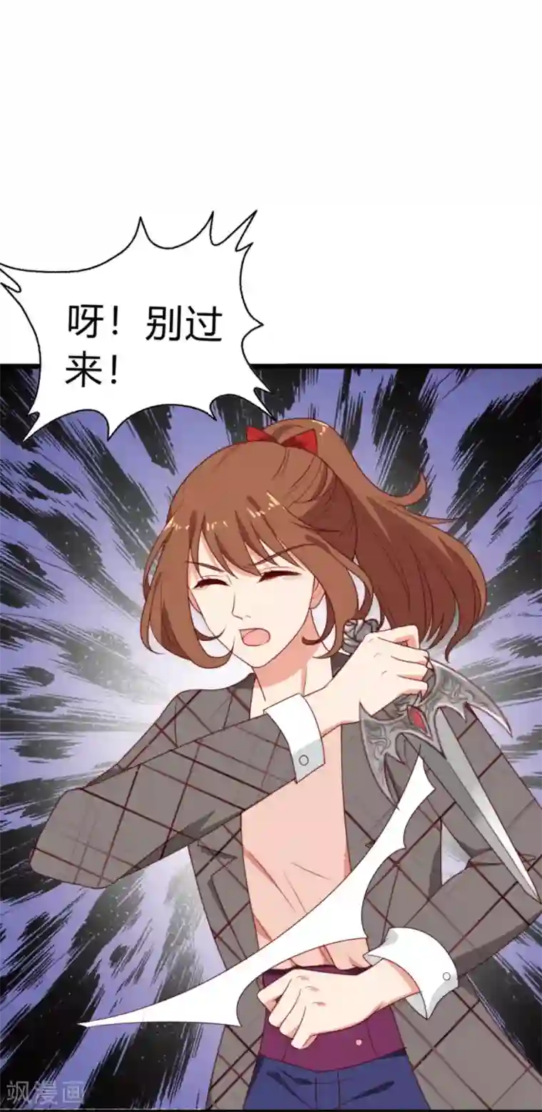 刀与蔷薇木第1话