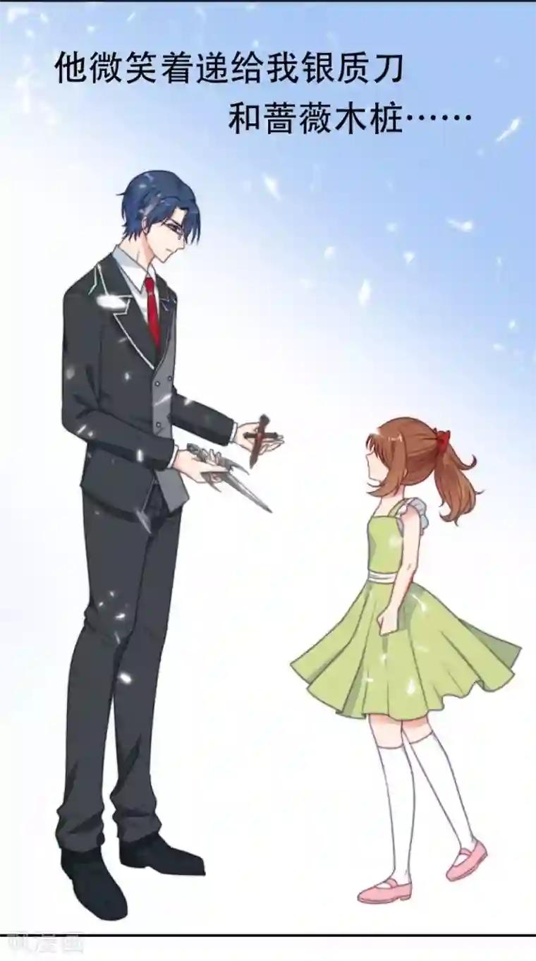 刀与蔷薇木第1话