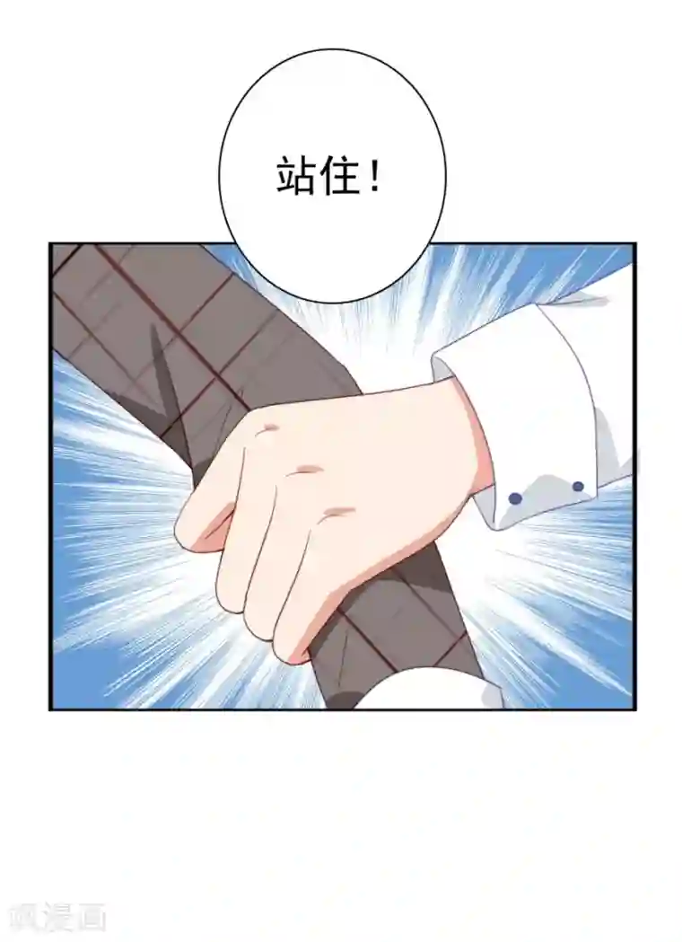 刀与蔷薇木第1话