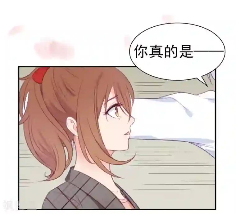 刀与蔷薇木第1话