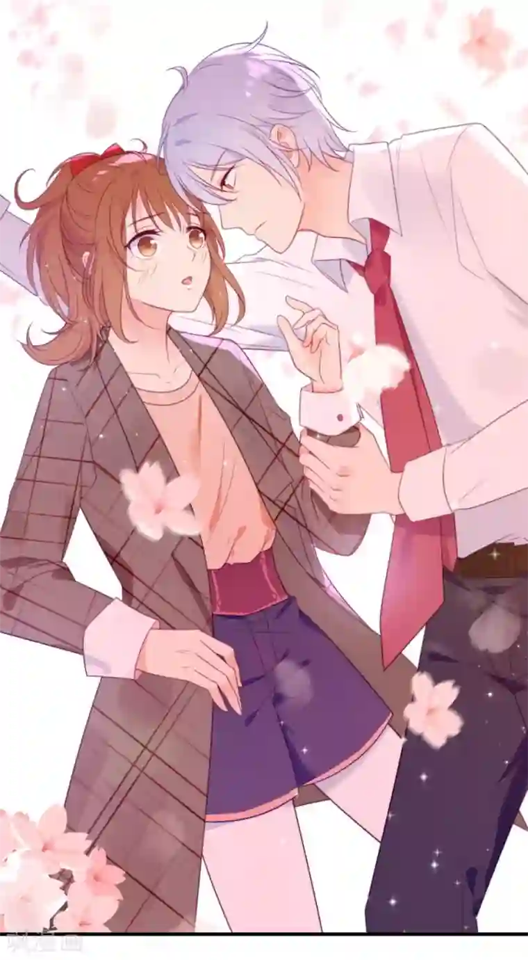 刀与蔷薇木第1话