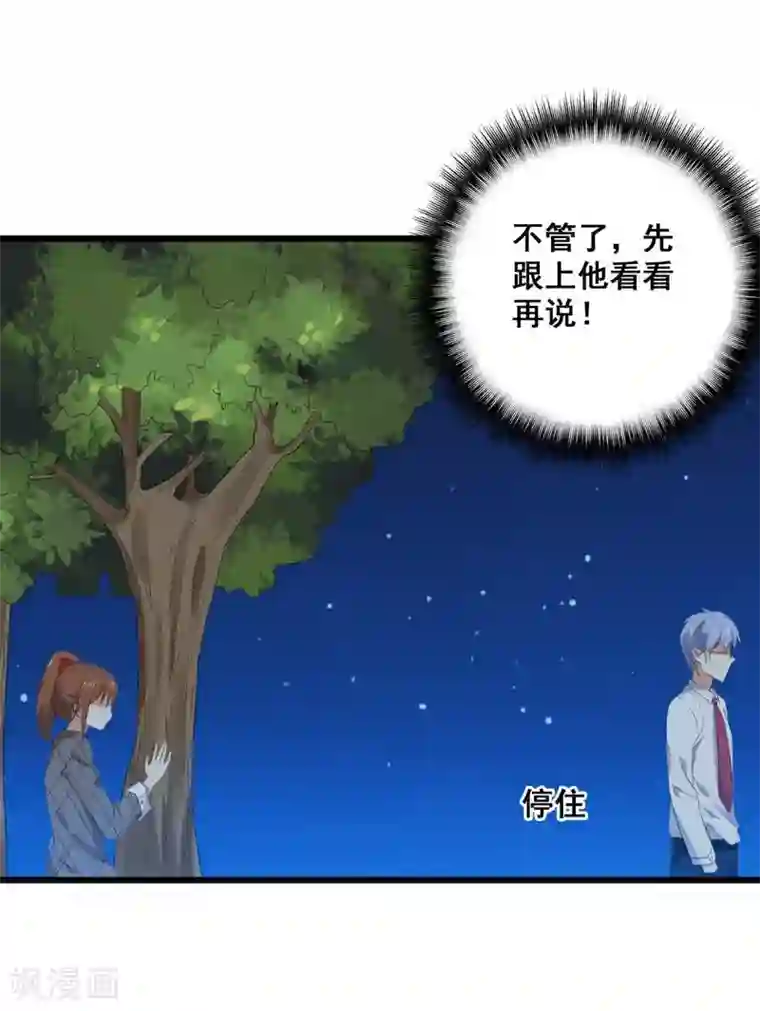 刀与蔷薇木第3话