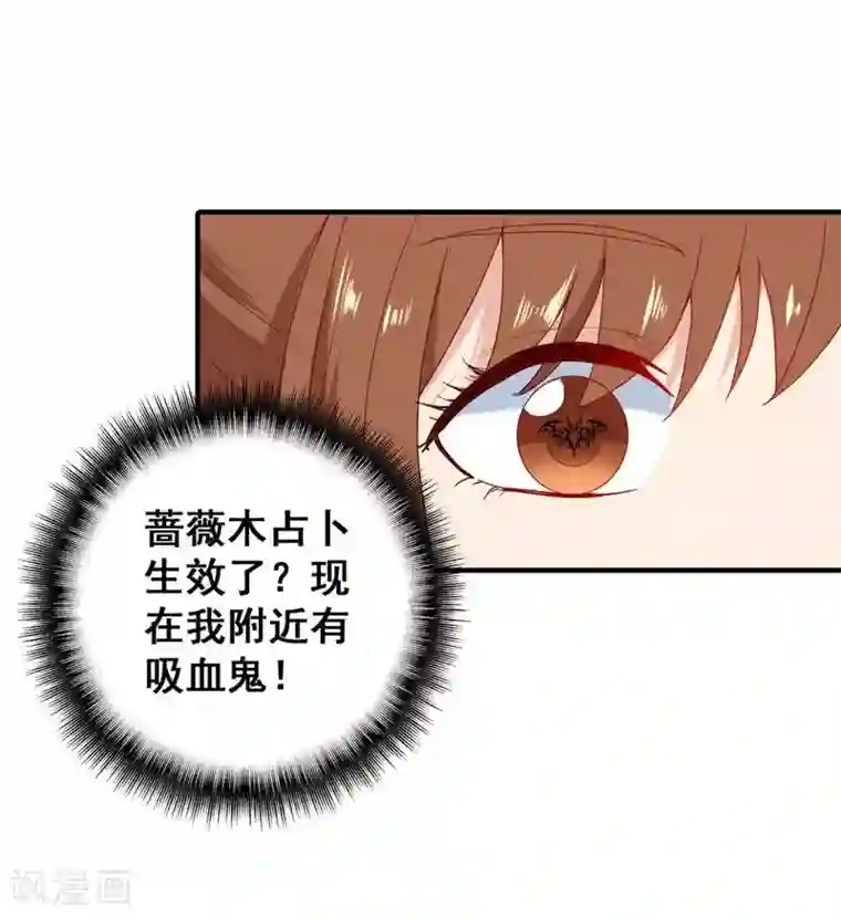 刀与蔷薇木第5话