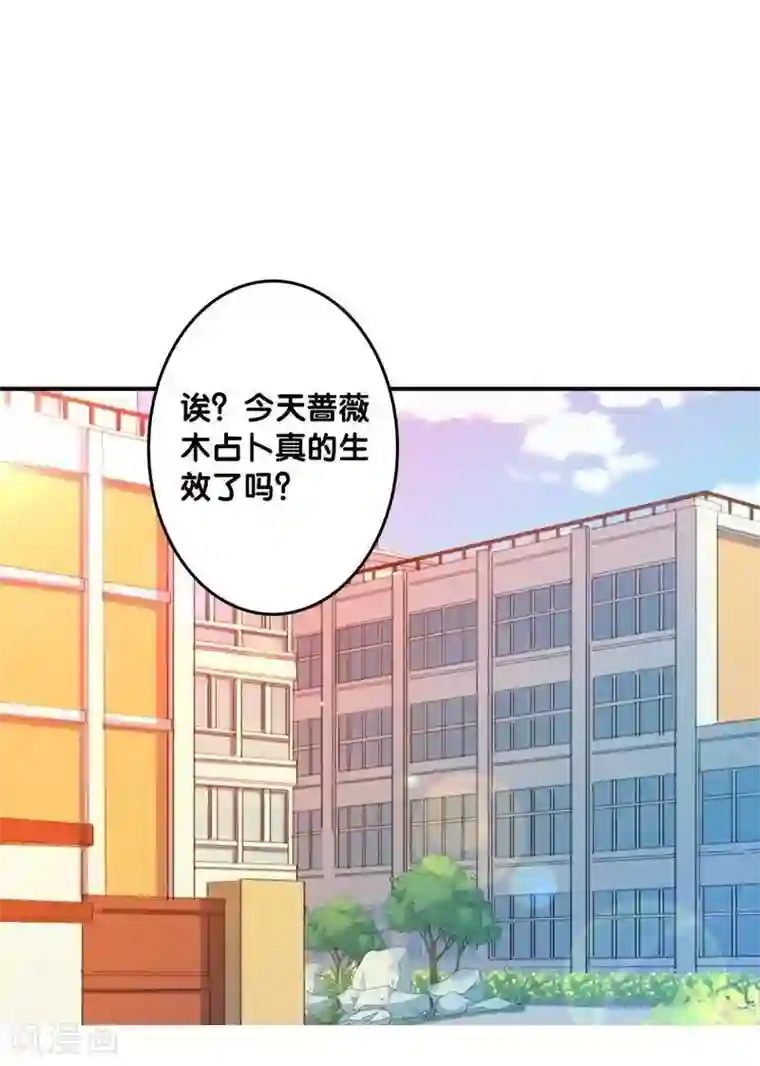 刀与蔷薇木第6话