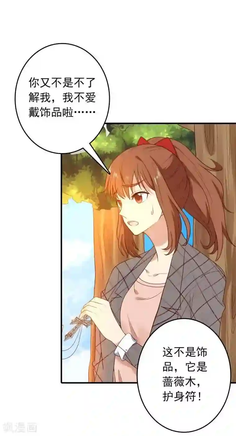 刀与蔷薇木第8话