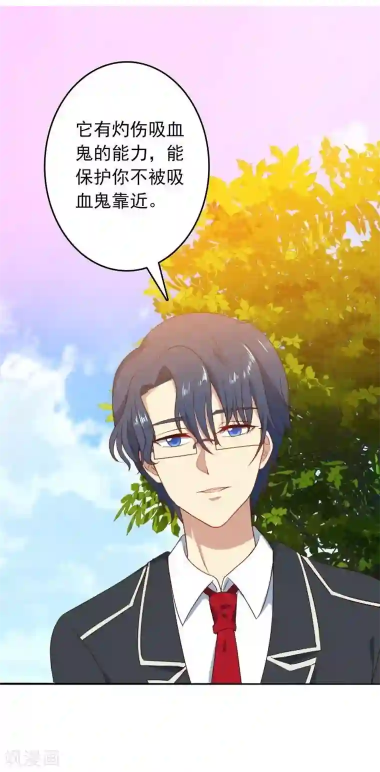 刀与蔷薇木第8话