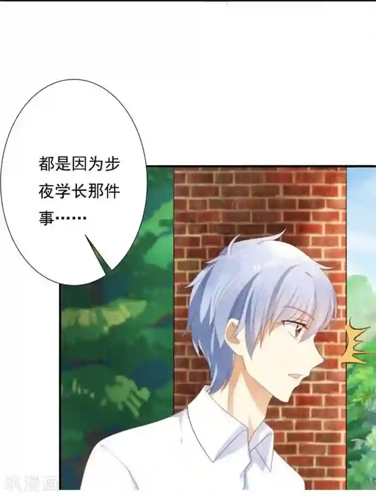 刀与蔷薇木第11话