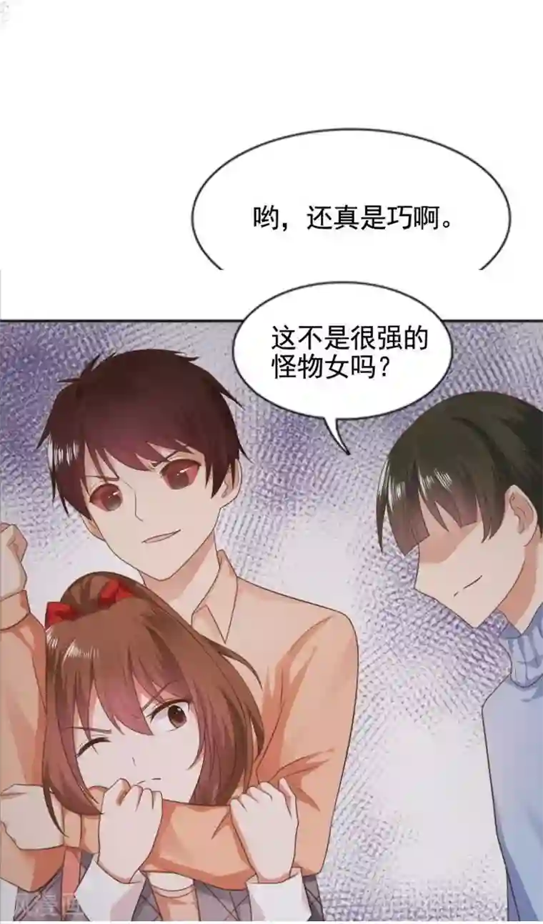 刀与蔷薇木第13话