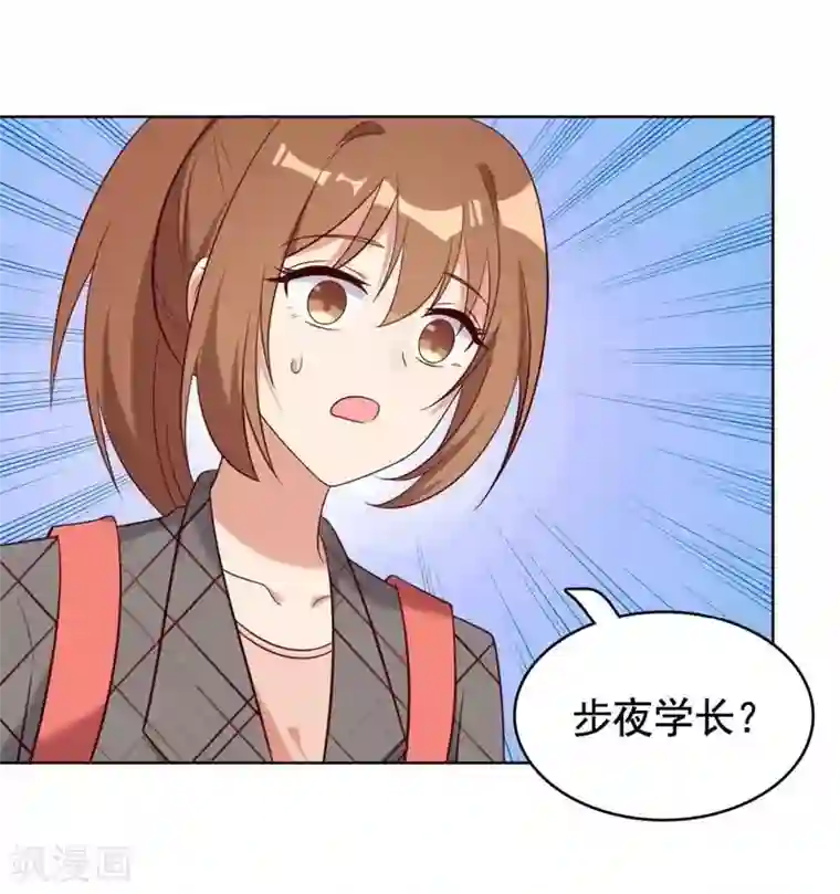 刀与蔷薇木第14话