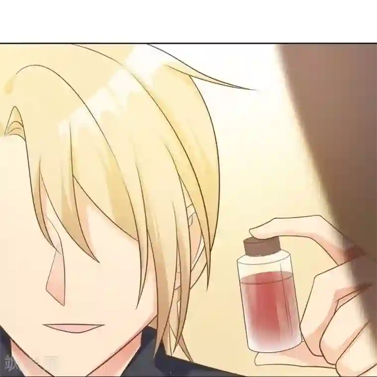 刀与蔷薇木第19话