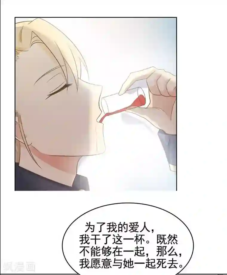 刀与蔷薇木第19话