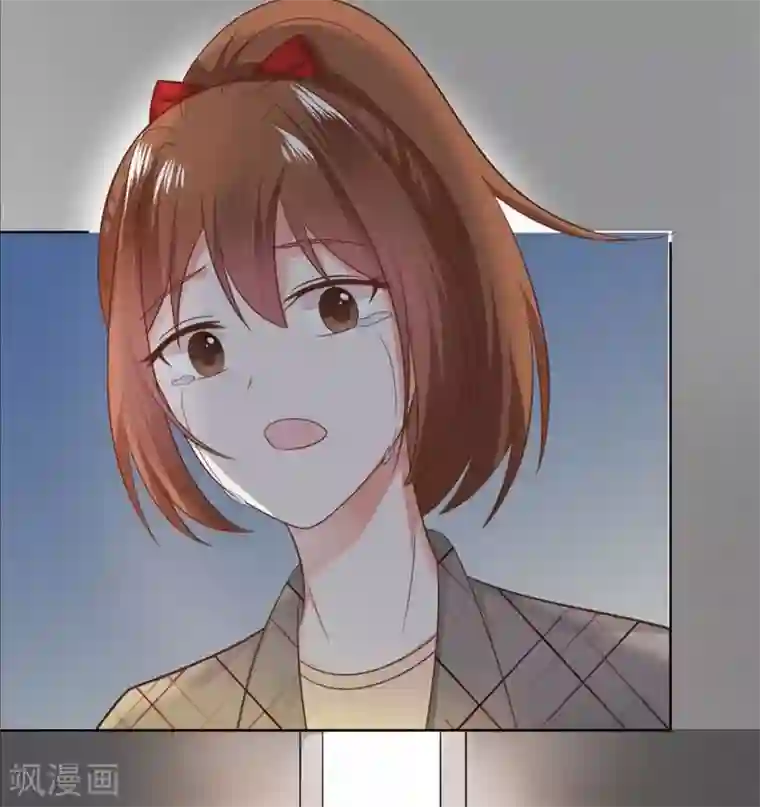 刀与蔷薇木第19话