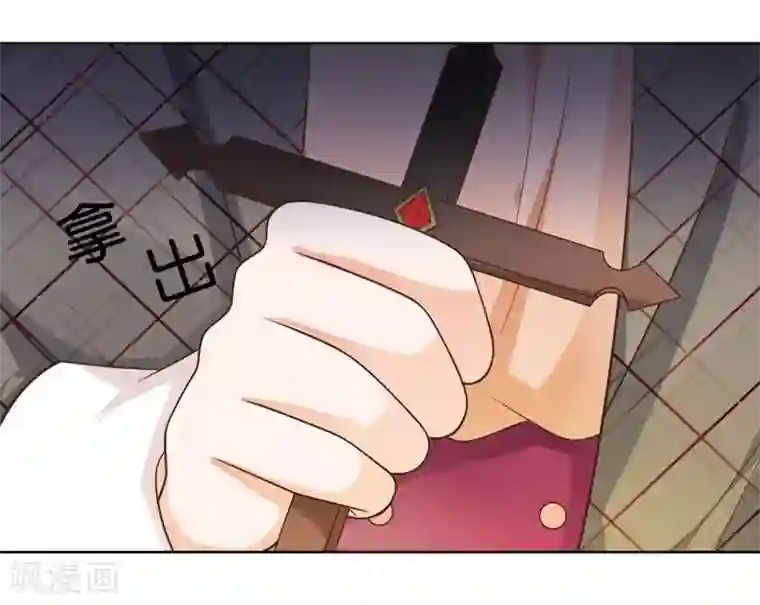 刀与蔷薇木第19话