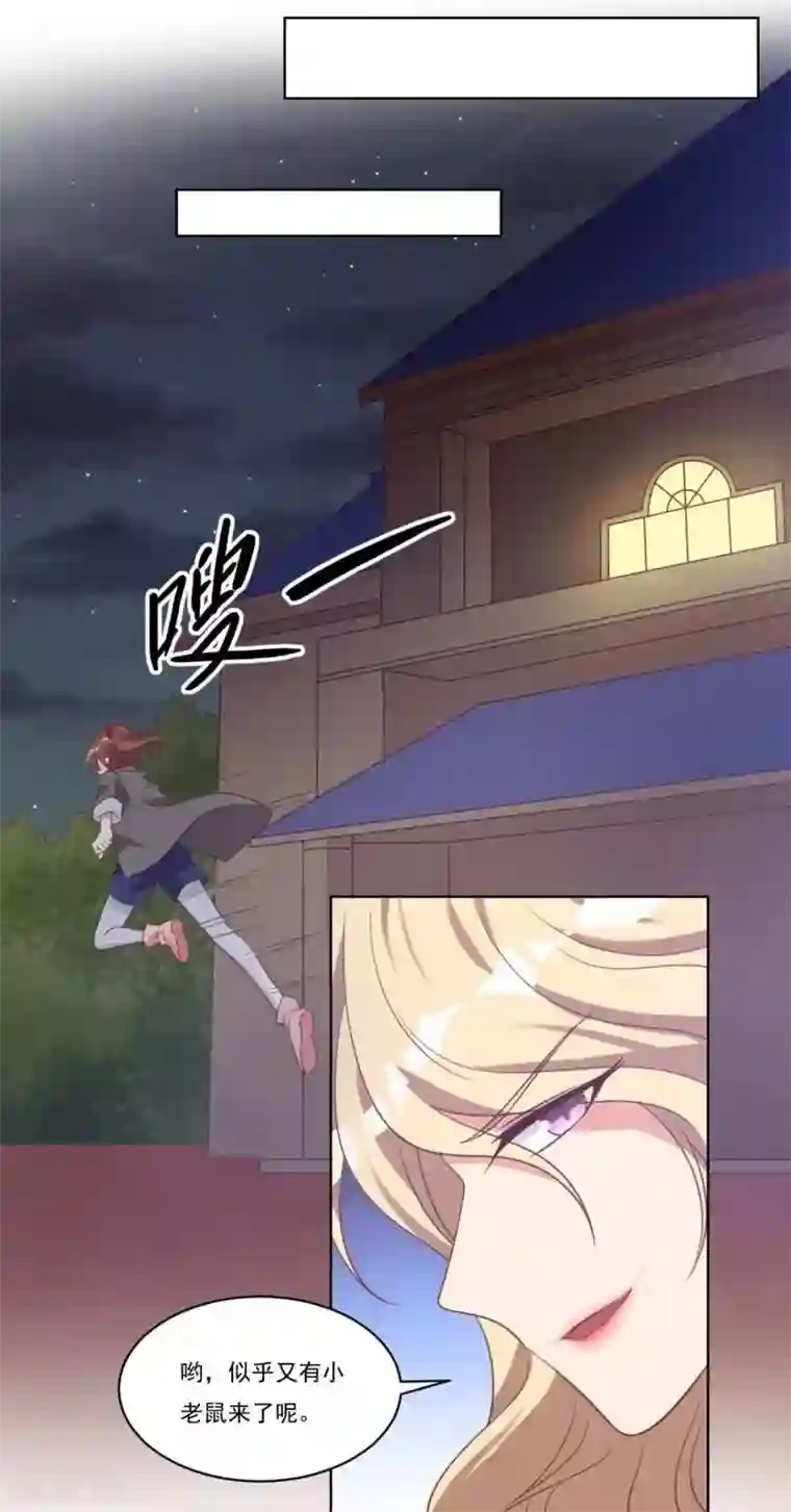 刀与蔷薇木第25话