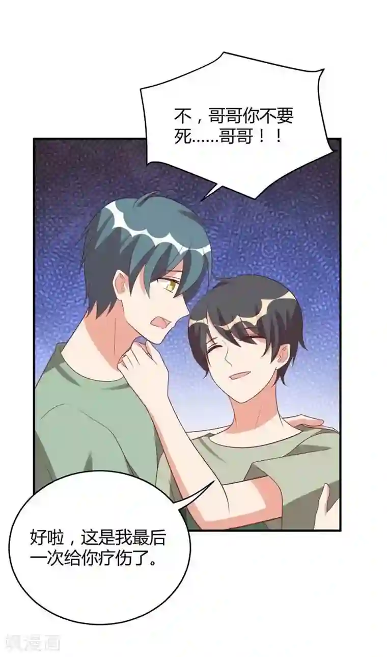 刀与蔷薇木第30话