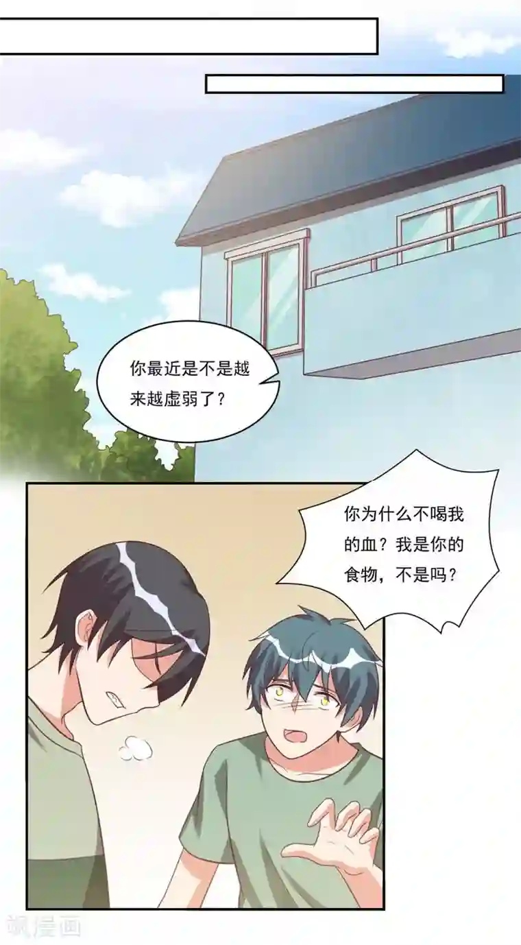 刀与蔷薇木第31话