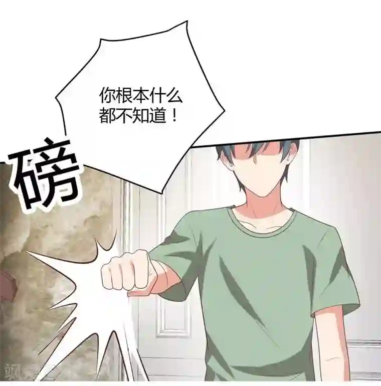 刀与蔷薇木第31话