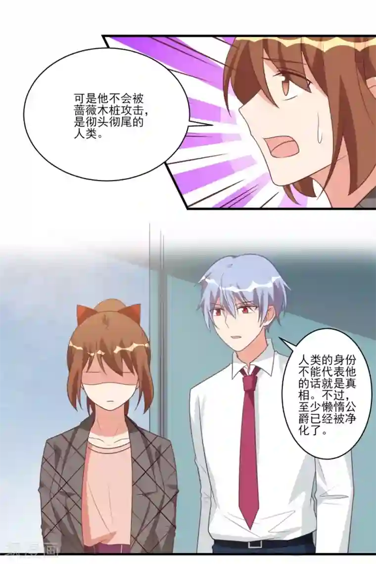 刀与蔷薇木第34话