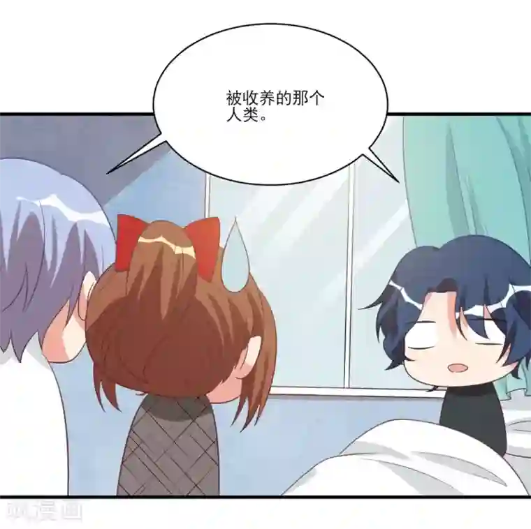 刀与蔷薇木第35话