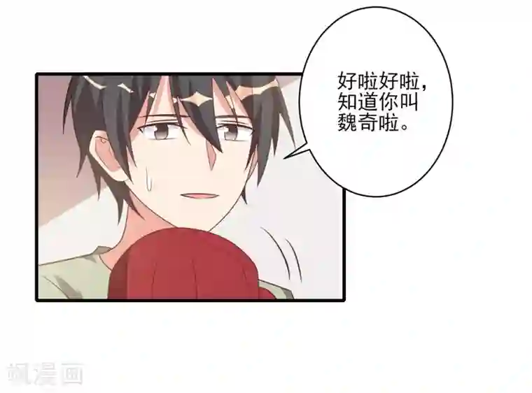 刀与蔷薇木第36话