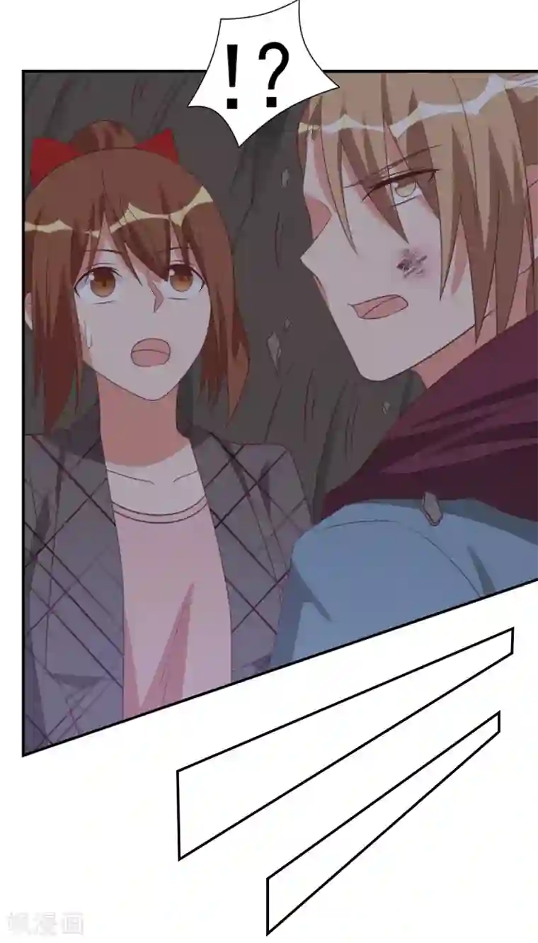 刀与蔷薇木第41话