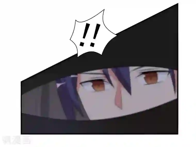 刀与蔷薇木第41话