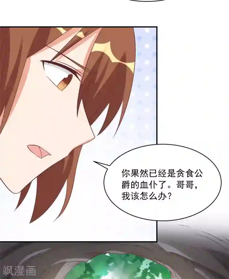 刀与蔷薇木第41话