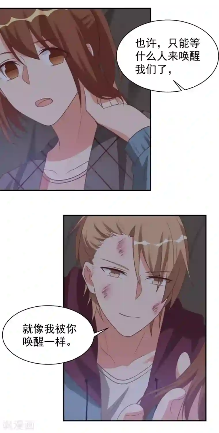 刀与蔷薇木第41话