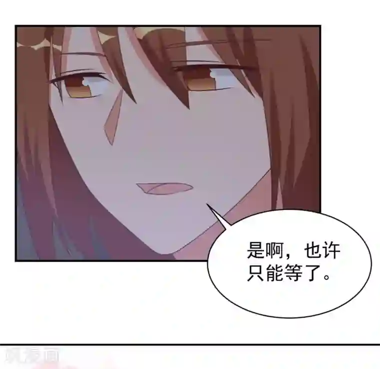 刀与蔷薇木第41话