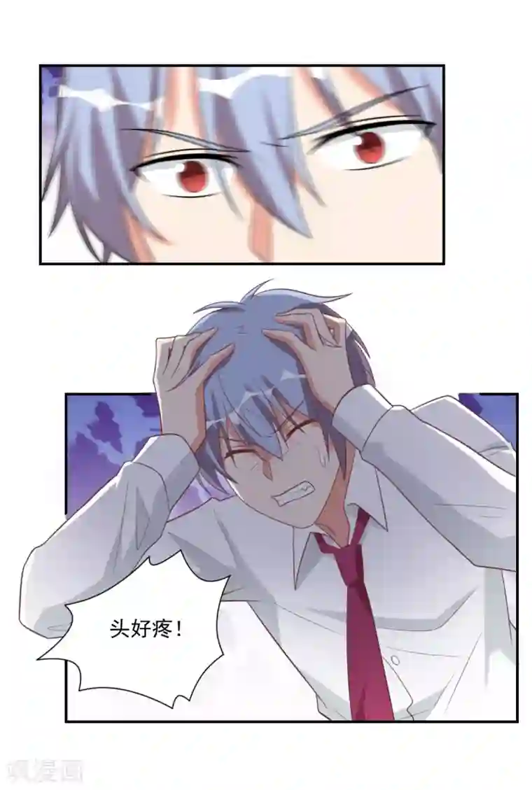 刀与蔷薇木第42话