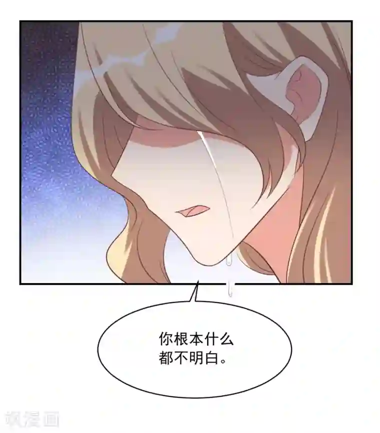 刀与蔷薇木第42话