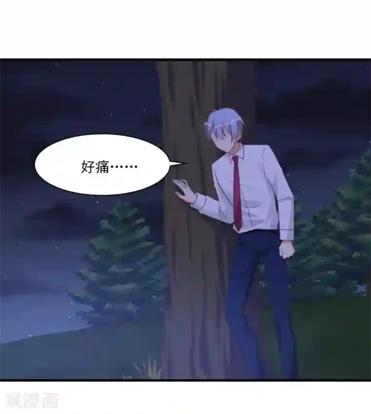 刀与蔷薇木第43话