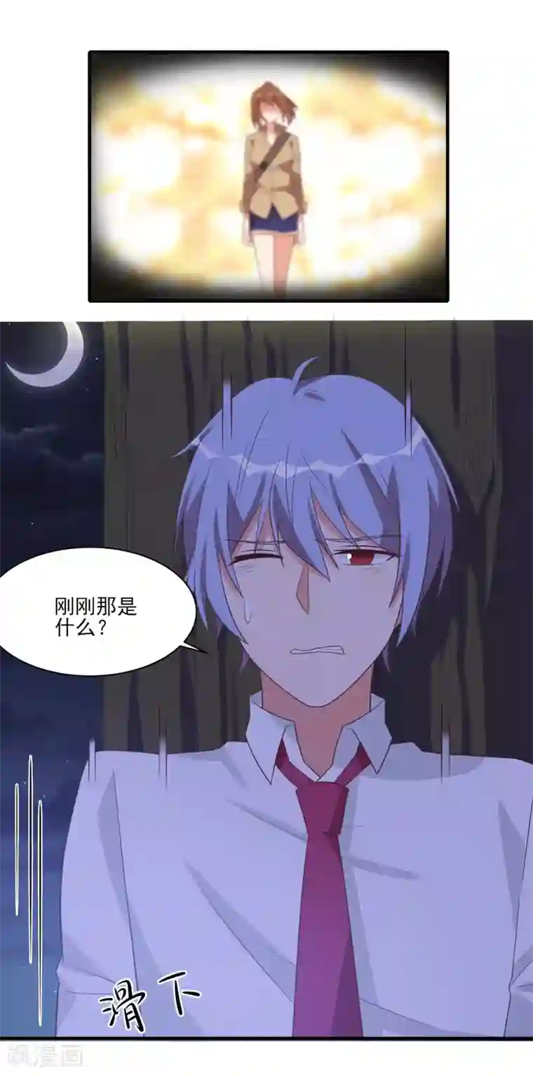 刀与蔷薇木第43话