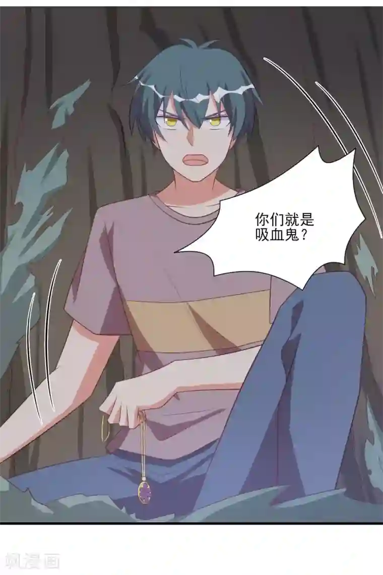 刀与蔷薇木第44话