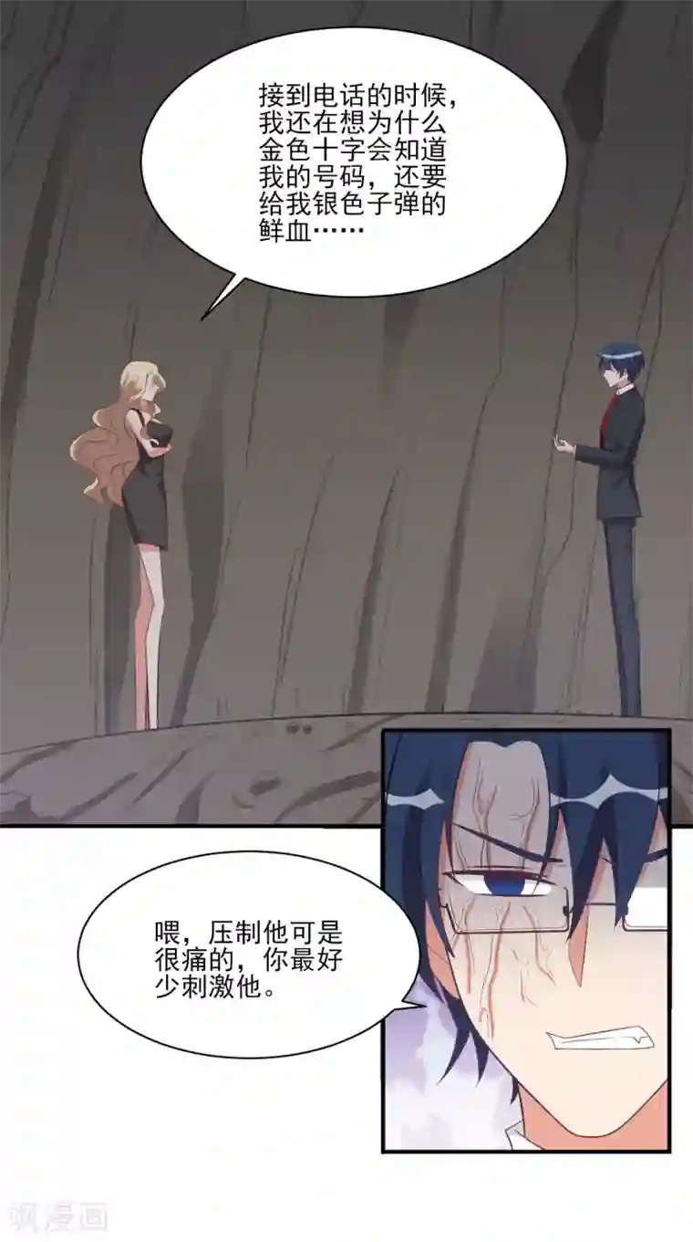 刀与蔷薇木第44话