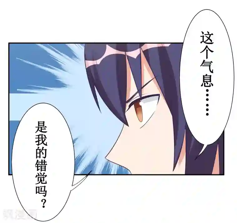 刀与蔷薇木第45话