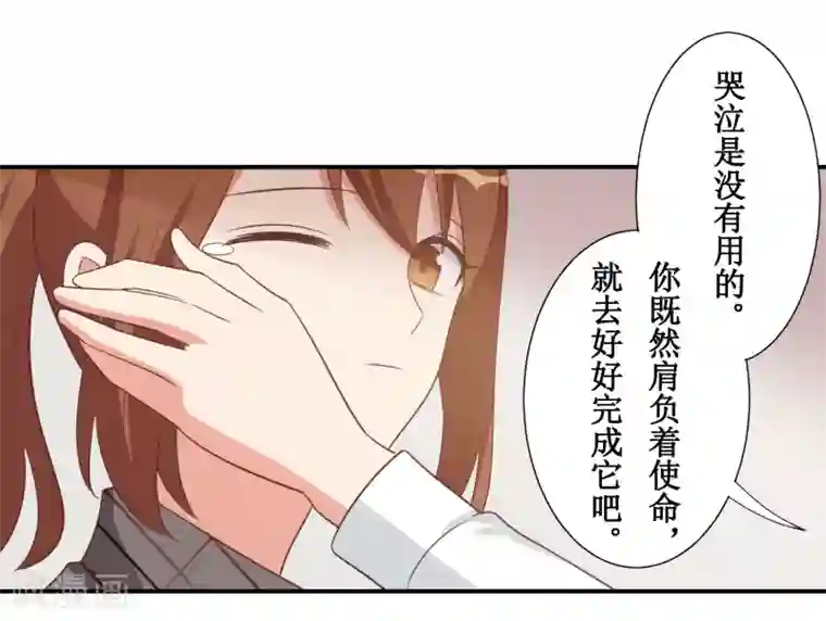 刀与蔷薇木第45话