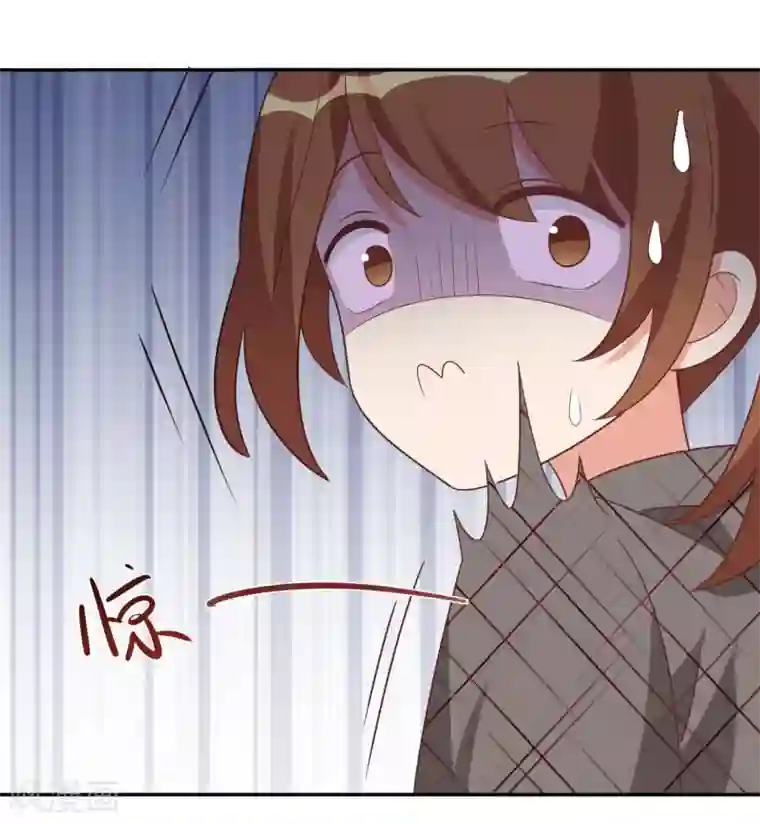 刀与蔷薇木第45话