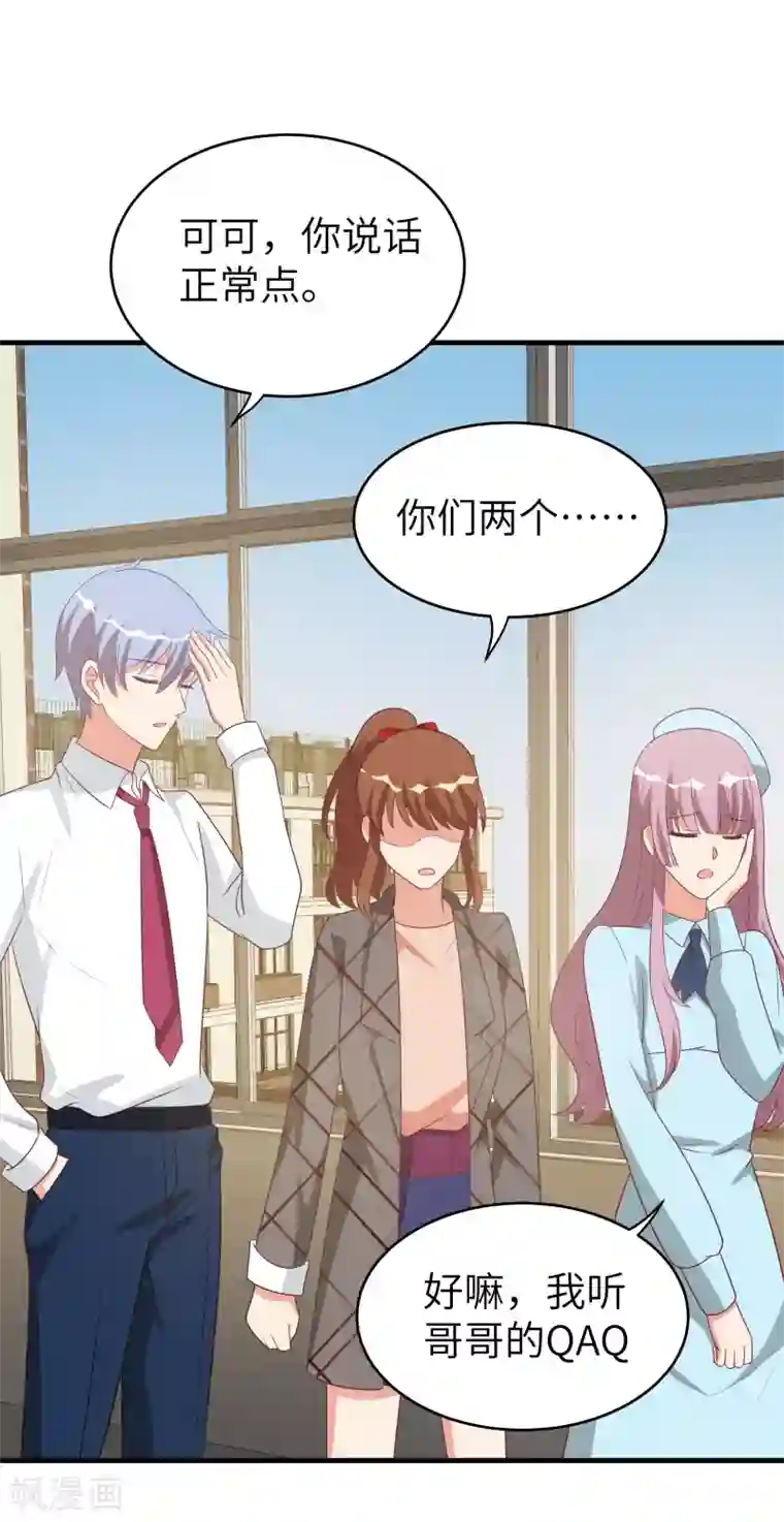 刀与蔷薇木第47话