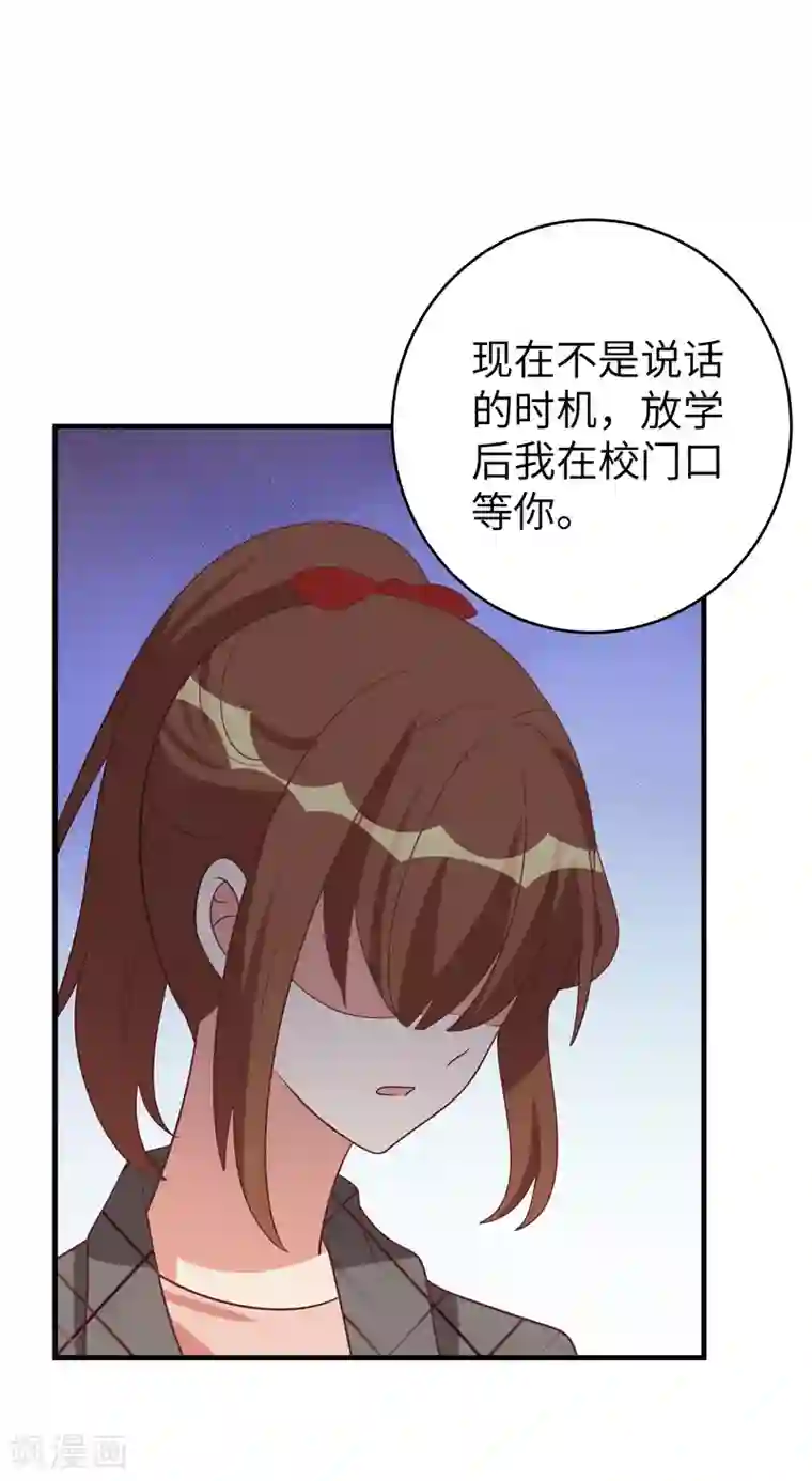 刀与蔷薇木第47话