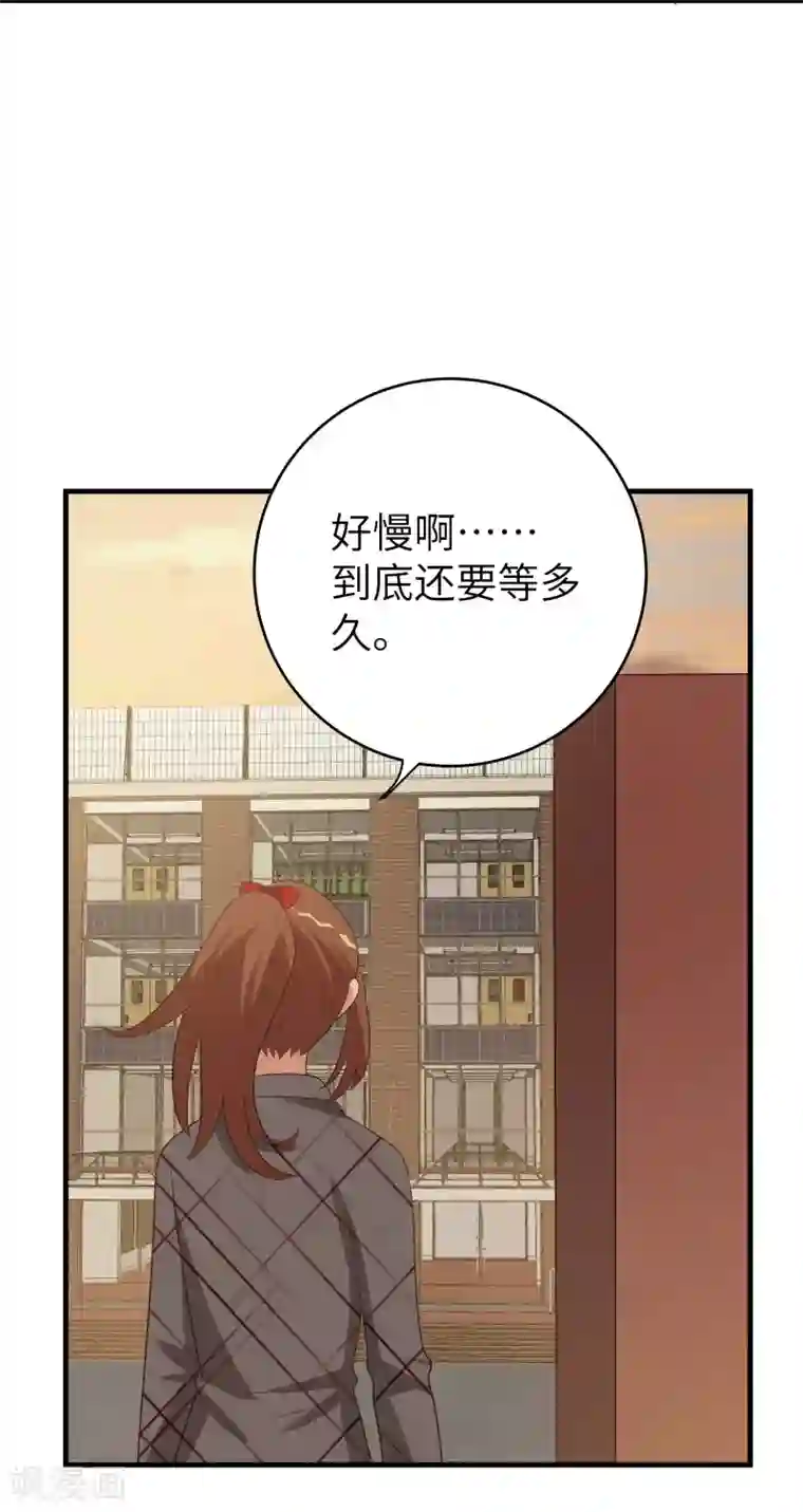 刀与蔷薇木第47话